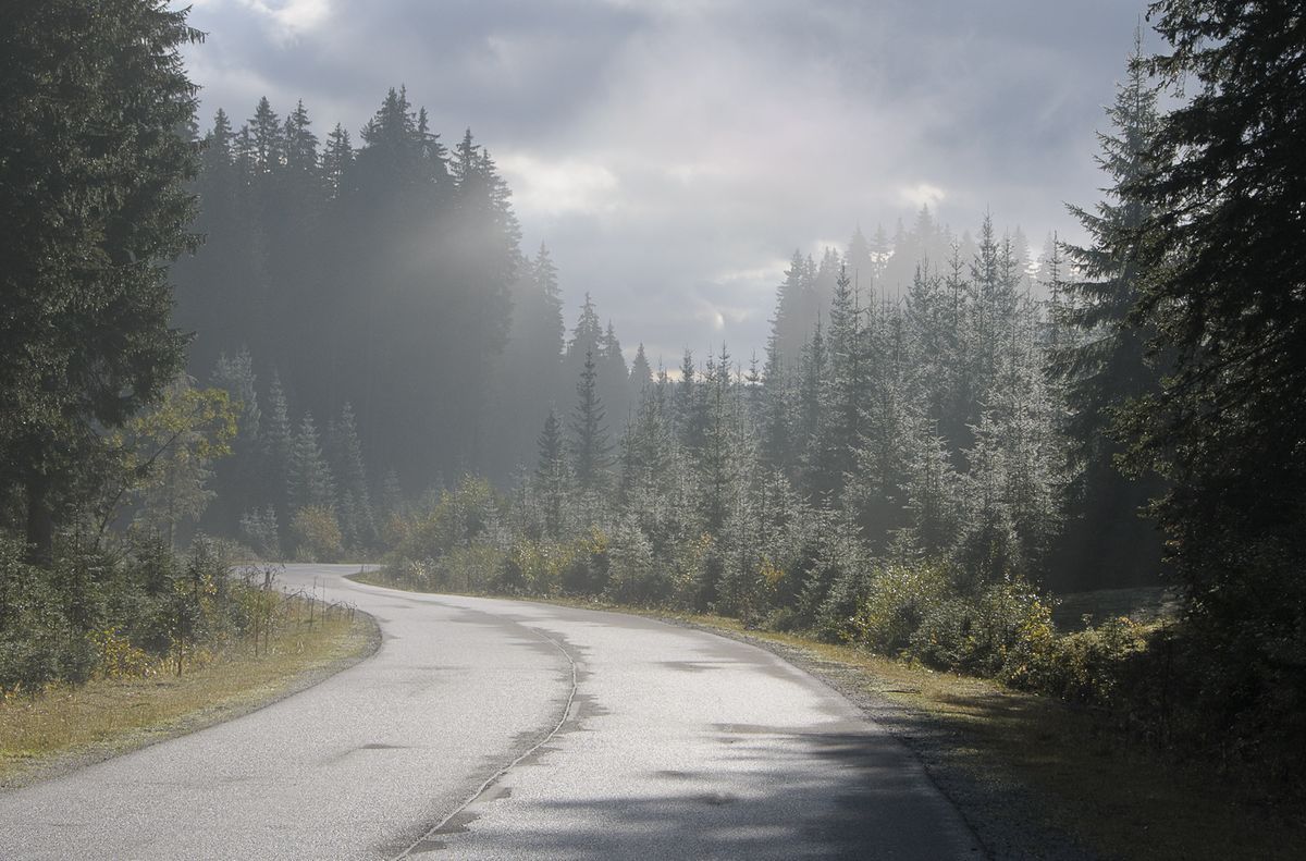 Kad ke­le­liai ne­dul­kė­tų