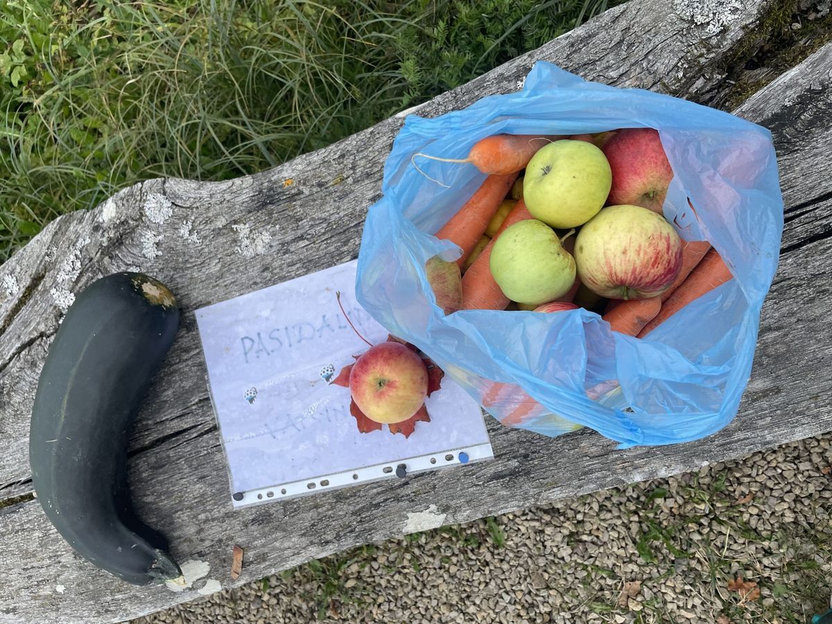 Kas tas paslaptingasis geradaris?