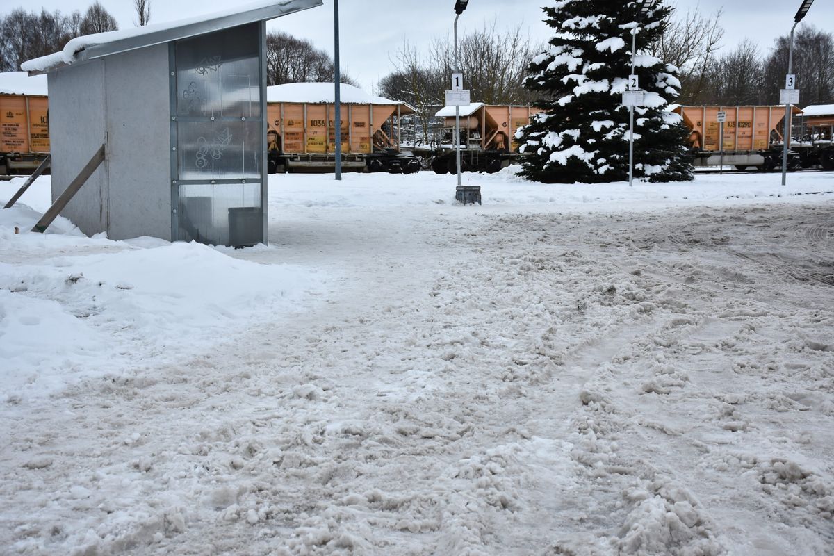 Kam reikalingesnės autobusų stotelės – kaimui ar miestui?