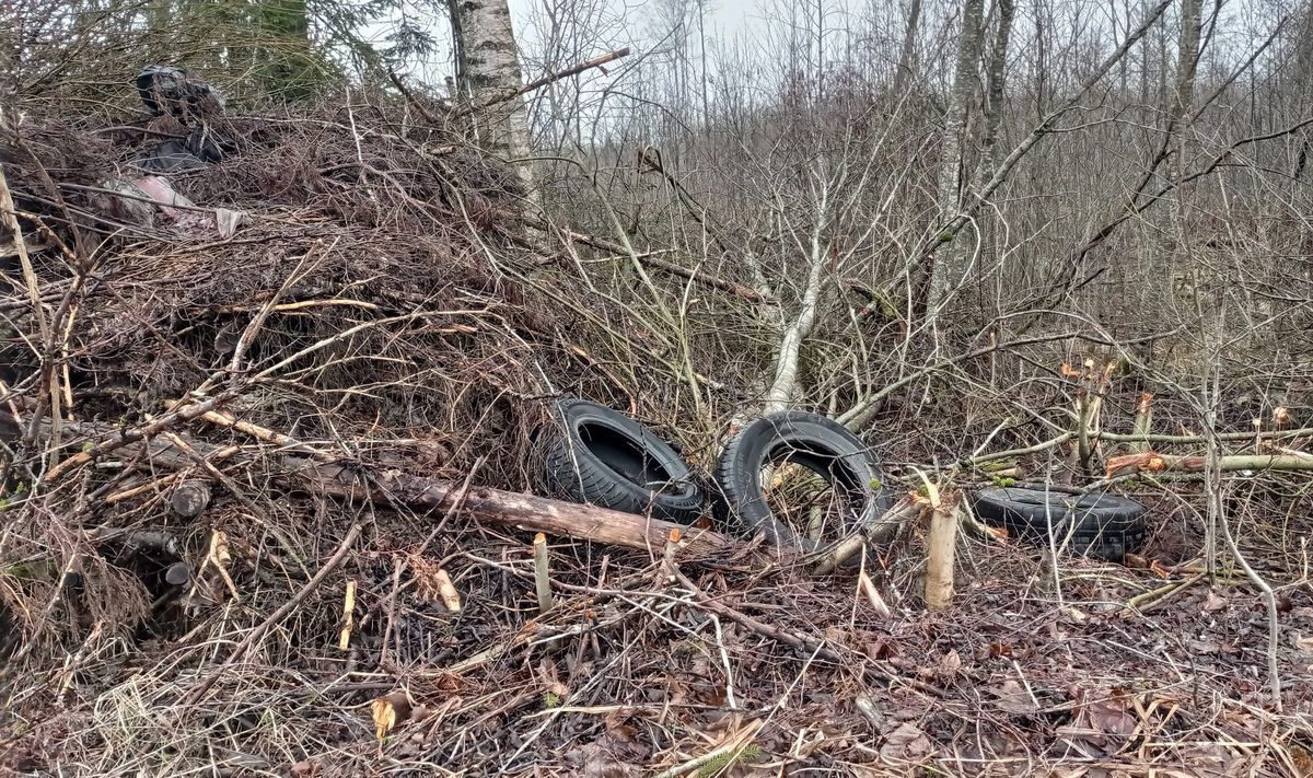 Ar žalienoms vieta pakelėje?