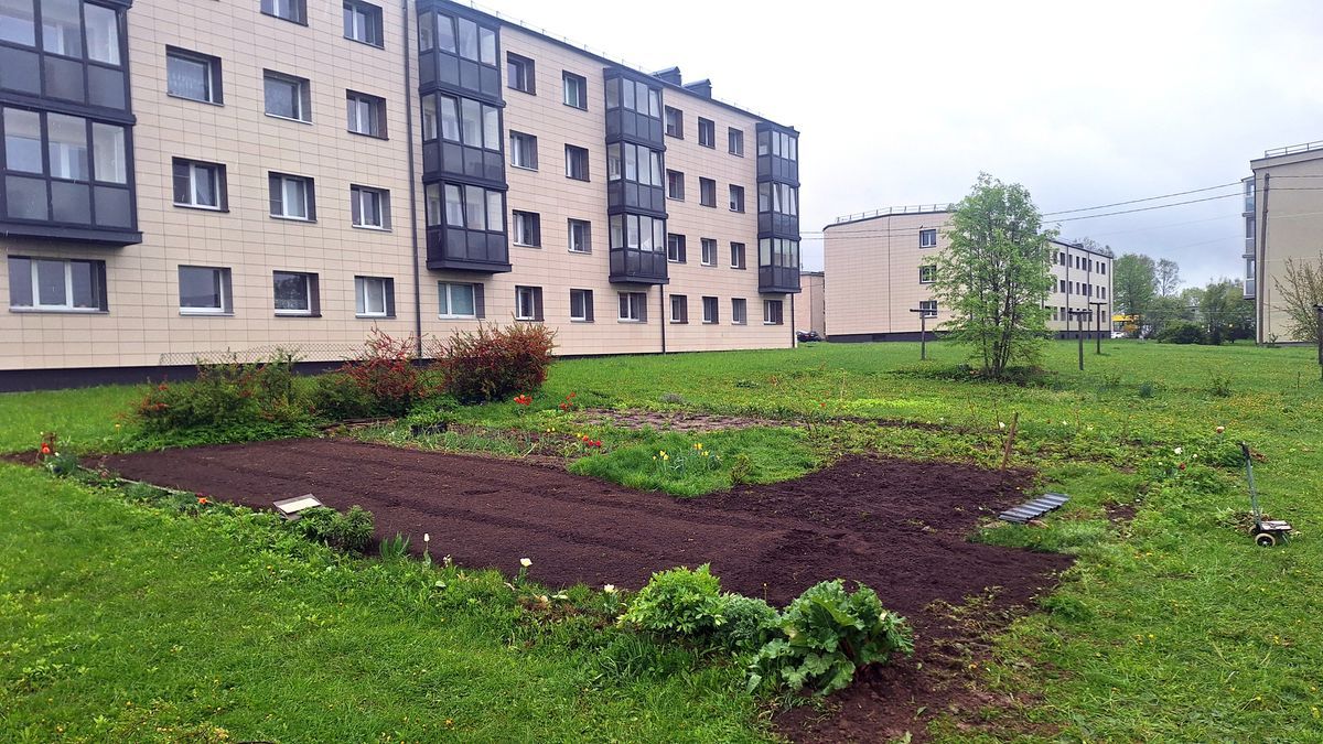 Daržas – kaimynų konflikto priežastis