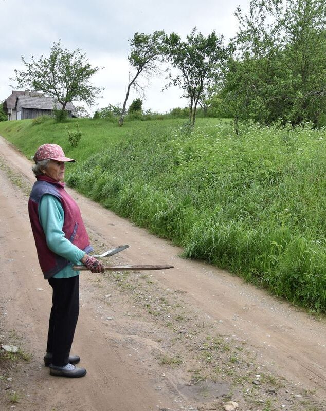 Anapus kaimynų tvoros – šliužų veisykla