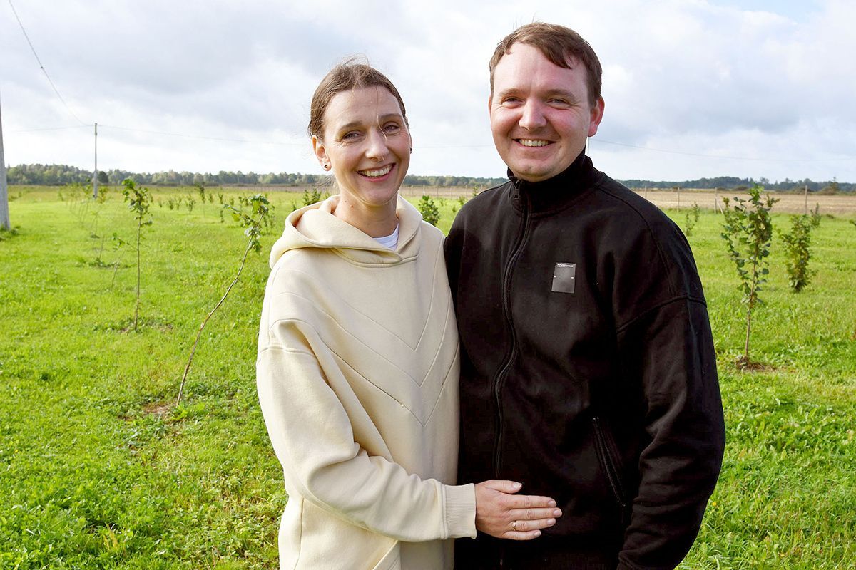 Svajonė, sužaliavusi lazdynų sodais