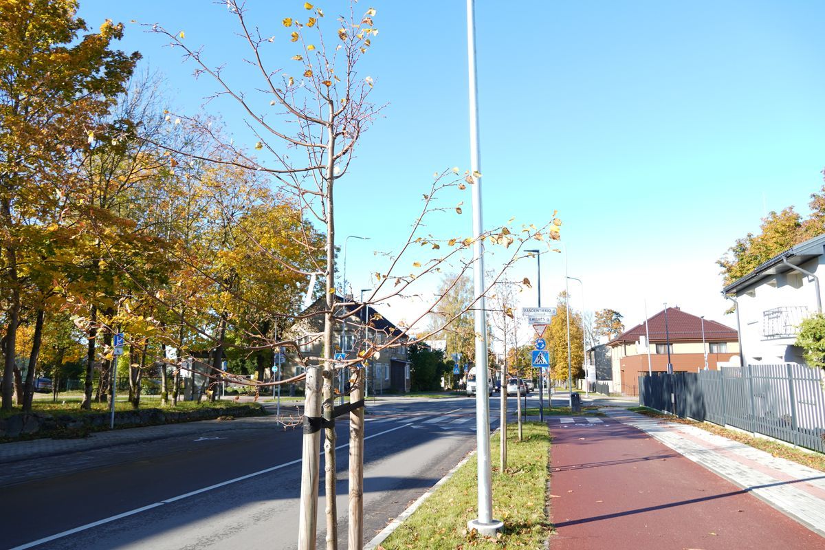 Ar liepaičių neištiks gudobelių likimas?