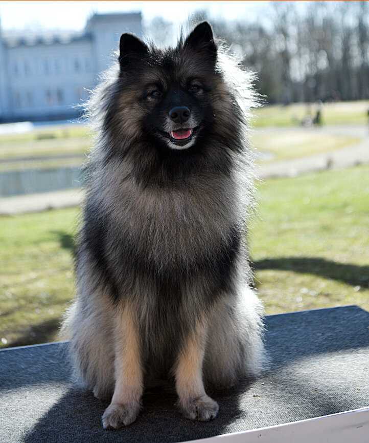 DSC_1399