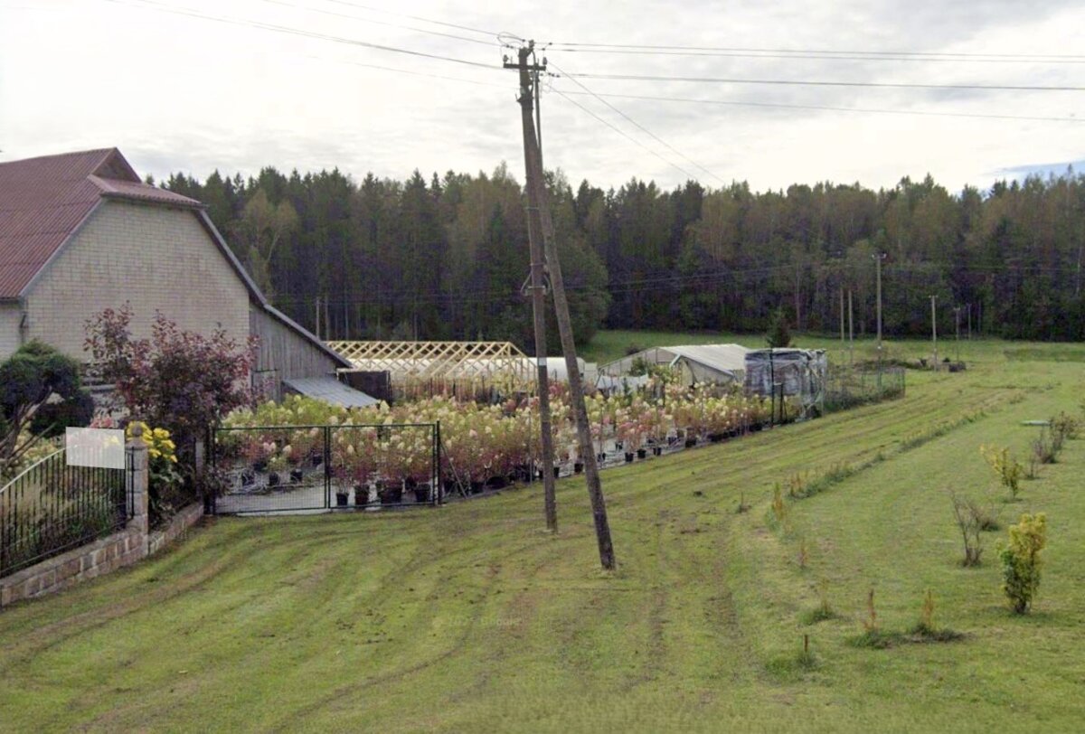 Gė­dos stul­pas val­di­nin­kams akių ne­ba­do