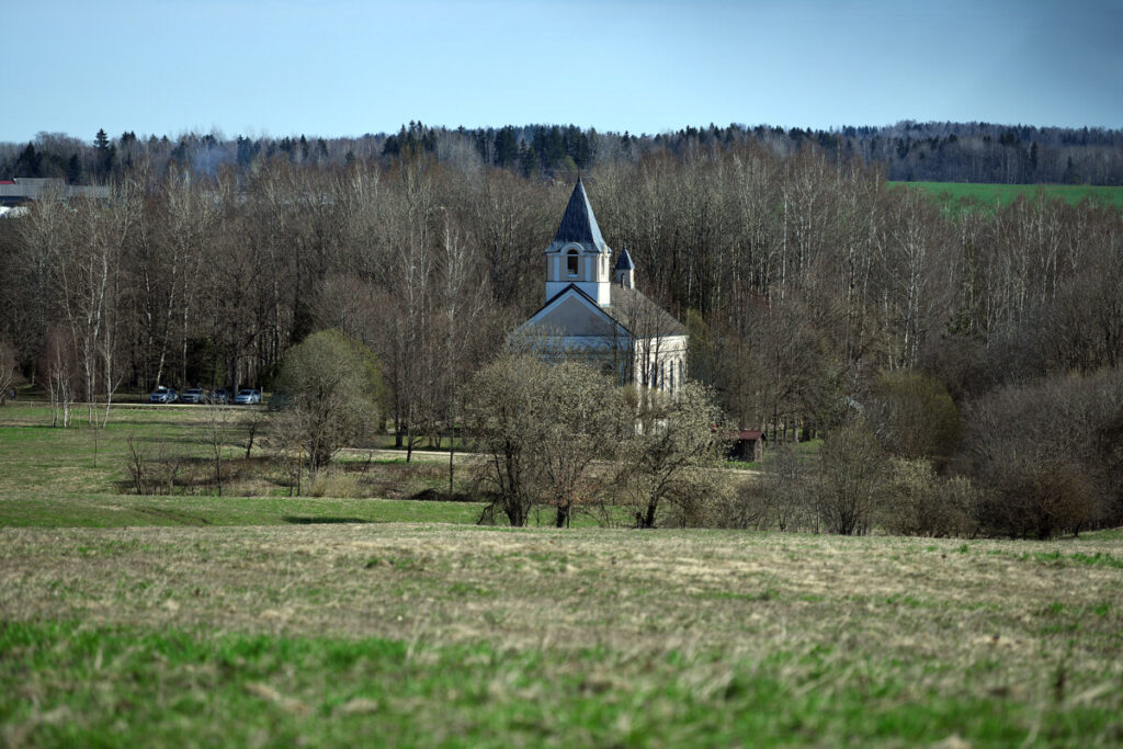 DSC_5478