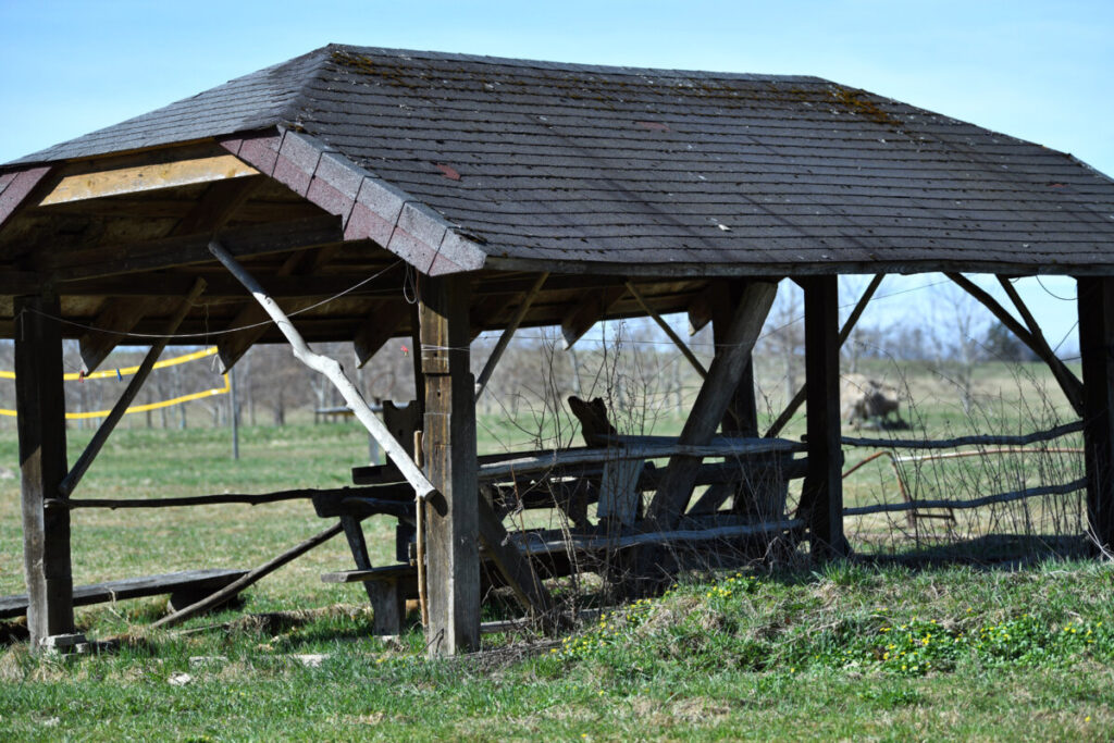 DSC_6229
