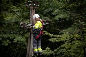 ESO vadovas: elektros tiekimą pavyko atstatyti daugiau negu 50 proc. klientų