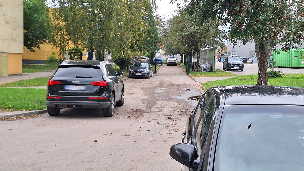 Įreng­ti pės­čių­jų pe­rė­jas, kad ne­be­vyk­tų „skar­dų ir stik­lų ba­lius“?