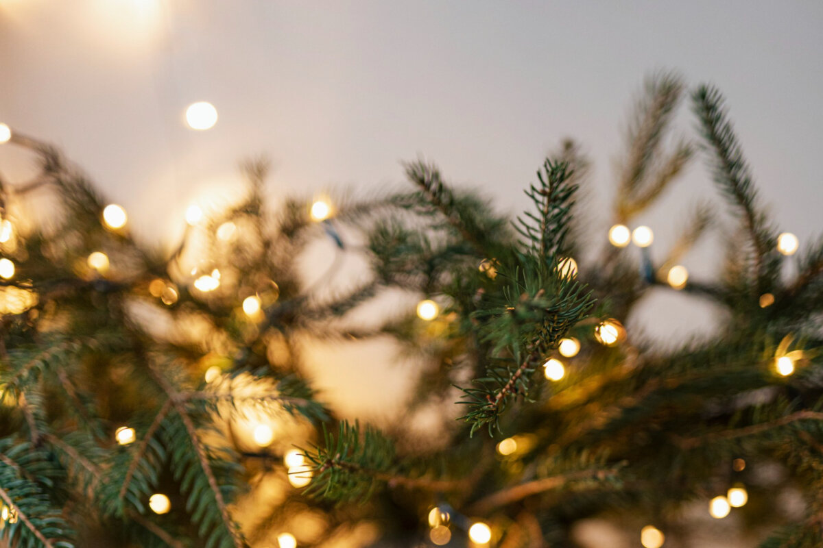 Paskelbtas pirkimas puošti Telšių miestą Kalėdoms