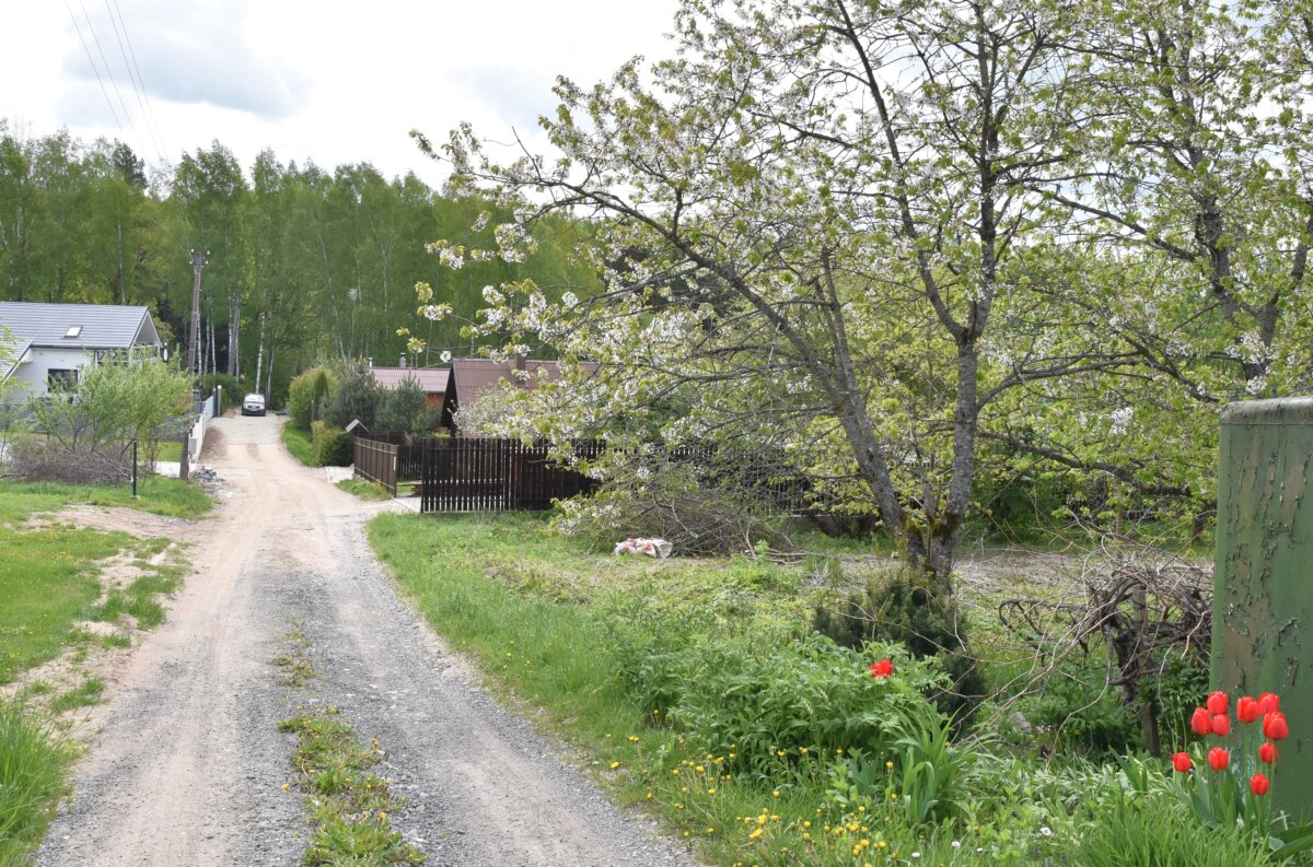 So­di­nin­kų pra­šy­mai – kaip žir­niai į sie­ną